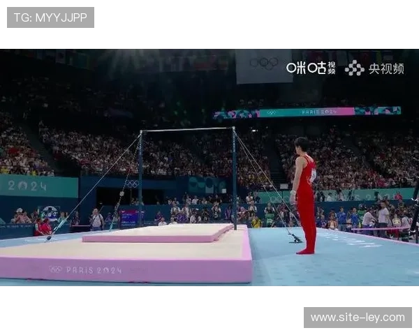 洛杉矶奥运周期单杠规则调整,选手适应性训练引关注 洛杉矶奥运周期单杠规则调整,选手适应性训练引关注