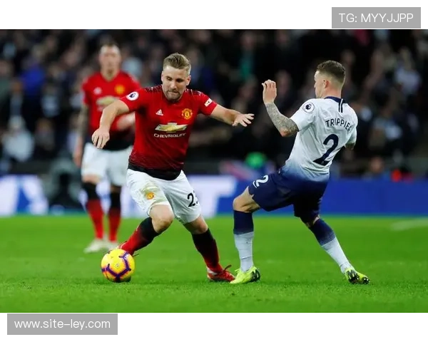 比赛花絮：伯恩利主场球迷挥舞旗帜，支持球队保级